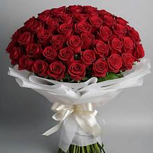 Букет 101 Красная роза Блэк Мэджик в Богдановиче Свердловская область