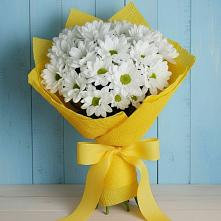 Букет цветов из:  Хризантемы в Богдановиче Свердловская область