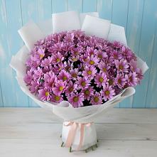 Букет цветов из:  Хризантемы в Богдановиче Свердловская область