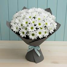 Букет цветов из:  Хризантемы #REPLACE_PRED# Богдановиче Свердловская область