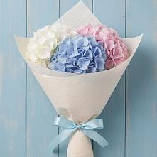 Букет цветов из:  Гортензия в Богдановиче Свердловская область