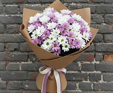 Букет цветов из:  Хризантемы в Богдановиче Свердловская область