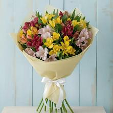Букет цветов из:  Альстромерии в Богдановиче Свердловская область