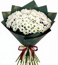 Букет цветов из:  Хризантемы в Богдановиче Свердловская область