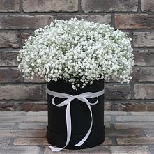 Цветочная композиция из Гипсофила в шляпной коробке в Богдановиче Свердловская область