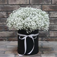 Цветочная композиция из Гипсофила в шляпной коробке в Богдановиче Свердловская область