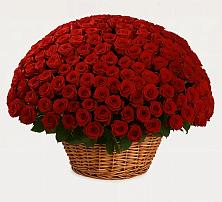Премиум букет из: Розы в Богдановиче Свердловская область