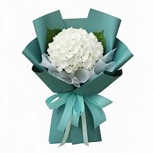 Букет цветов из:  Гортензия в Богдановиче Свердловская область